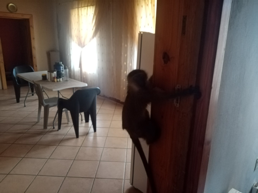 3 Bedroom Property for Sale in Petrusburg Free State